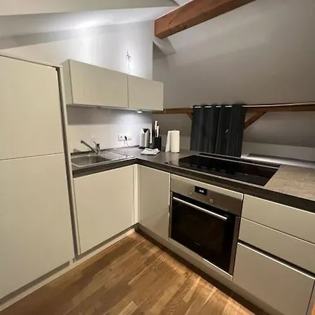 Charmantes Loft In Der Bayreuther Lägenhet